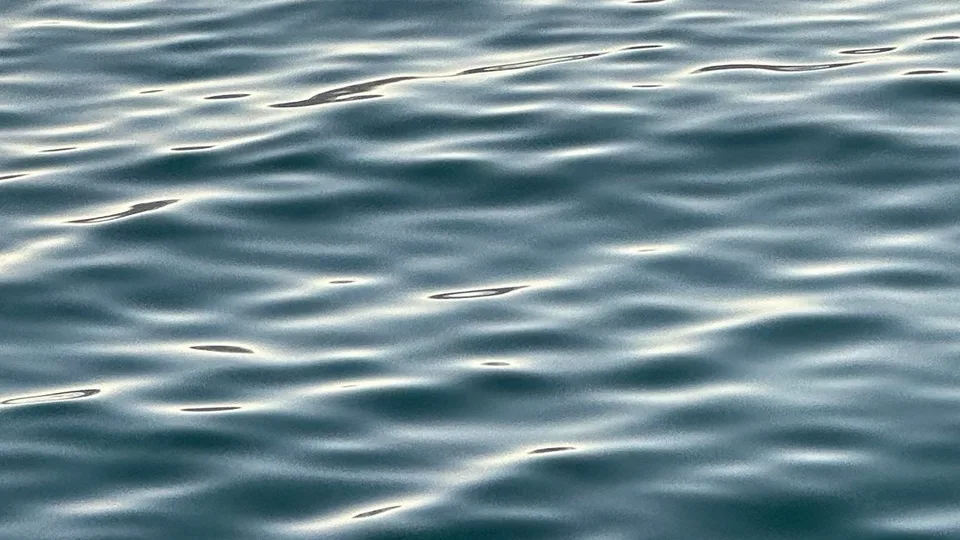 pei 的封面